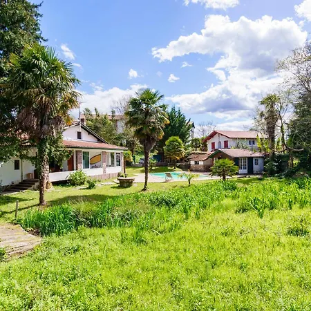 Mendizola - 5 - Piscine - Vue Montagne