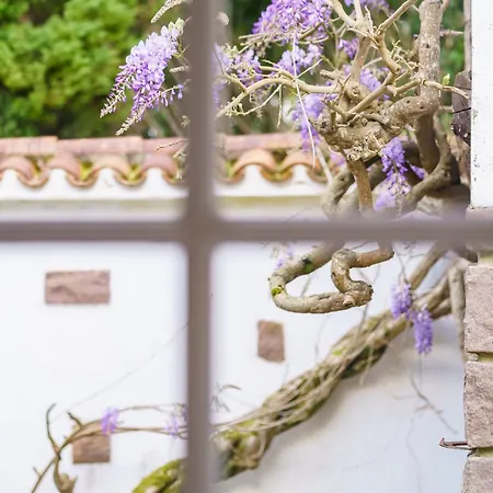 Mendizola - 5 - Piscine - Vue Montagne * Sare